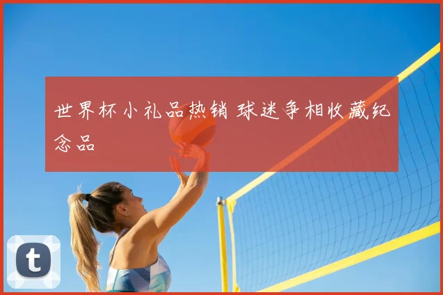 世界杯小礼品热销 球迷争相收藏纪念品