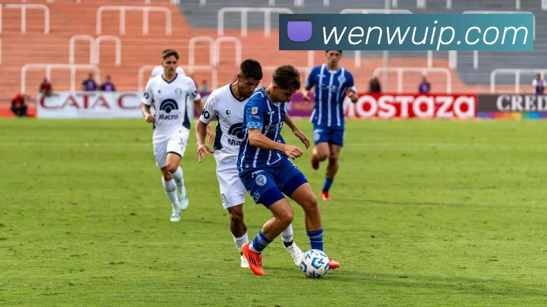 世界杯网上购票平台平台生态图